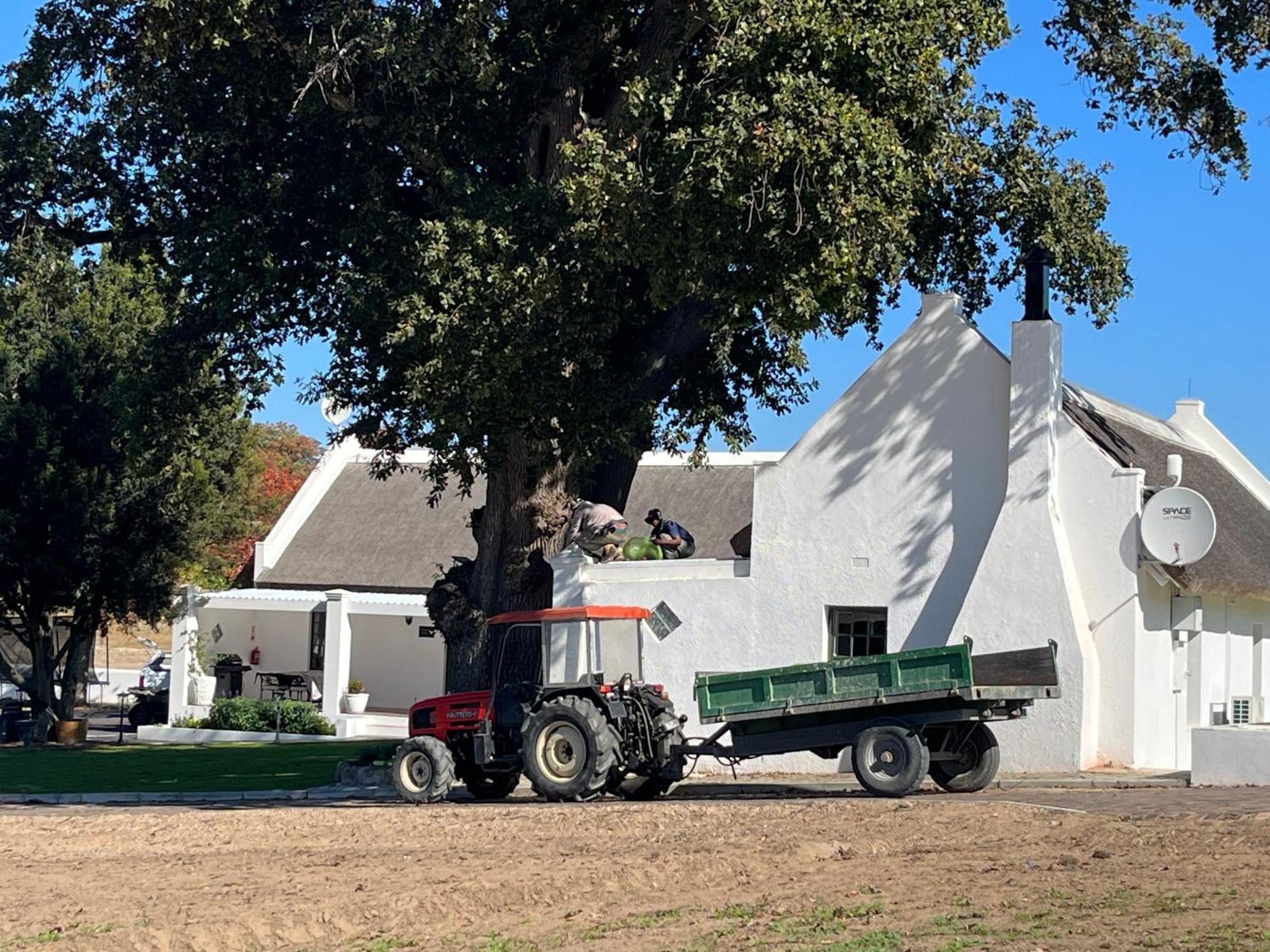 Nassau Guest Farm Hotel Stellenbosch Exterior photo